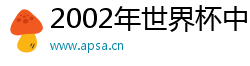 2002年世界杯中國隊陣容