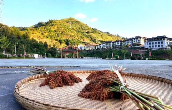 圍甲聯(lián)賽第7輪黨毅飛勝柯潔 助成都4比0勝深圳龍華